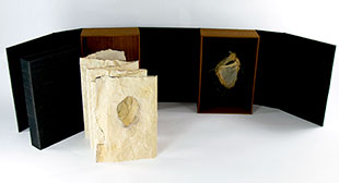 Dwellings book