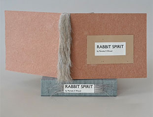 Rabbit Spirit book