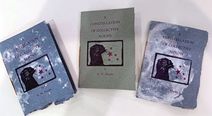 A Constellation of Collective Nouns book