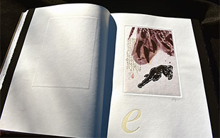 Lepidoptera book