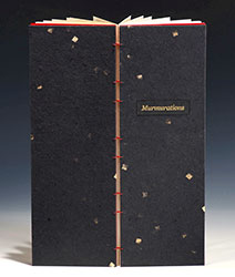 Murmurations book
