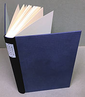 Fragments & Glimpses book