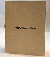 yellow exceed timid book