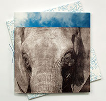 Remembering Elephants book