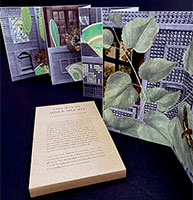 Dim wood, spark bright book