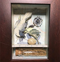 ABC of Birds book