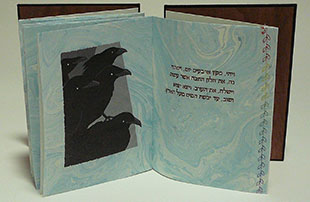 Birds of the Bible: Raven book