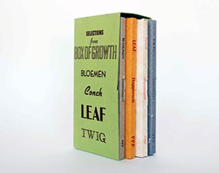 Quartet Box of Growth ...book