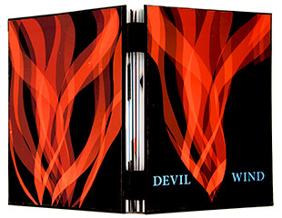 Devil Wind book