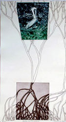 Mangroves on the Edge book