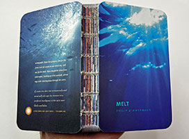 Melt book