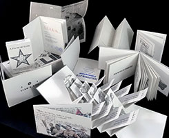 Art of the Lie book